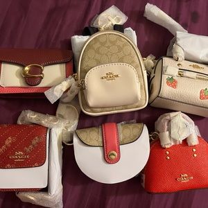 6 piece Coach Bag Charm Bundle